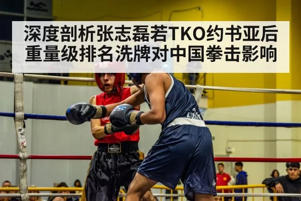 深度剖析张志磊若TKO约书亚后重量级排名洗牌对中国拳击影响